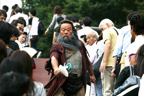 Flowers In The Shadow fotoğrafı