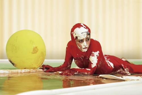 Flowers In The Shadow fotoğrafı