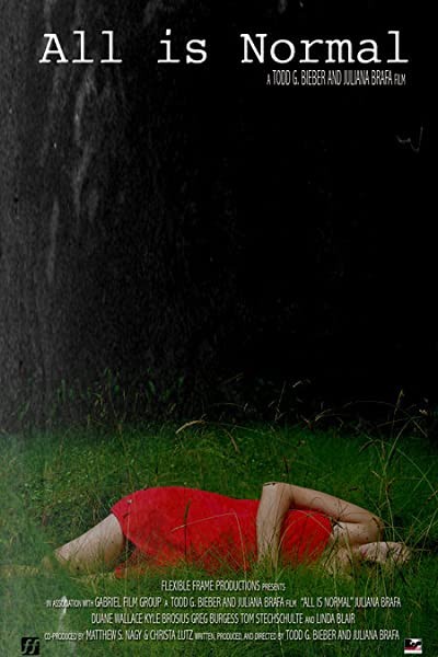 All ıs Normal (2008) afişi