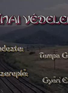 Kínai Védelem (1999) afişi