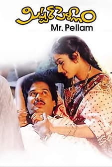Mr. Pellam (1993) afişi