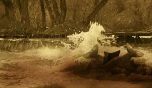 Mega Piranha Fotoğrafı