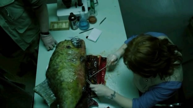 Mega Piranha fotoğrafı