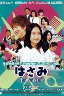 Hasami (2011) afişi