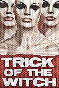 Trick Of The Witch (2010) afişi