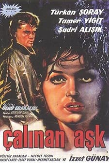 Çalınan Aşk (1963) afişi