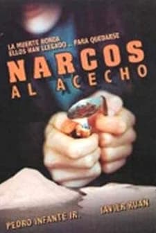 Al Acecho (1988) afişi