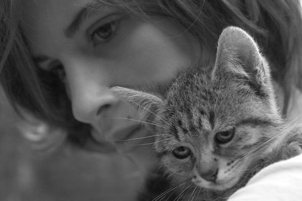 Pleure En Silence fotoğrafı