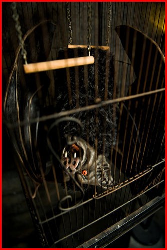 Ms. Vampy Fotoğrafı