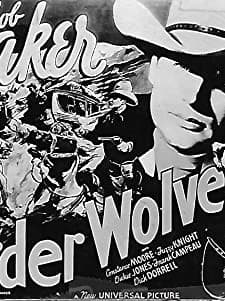 Border Wolves (1938) afişi