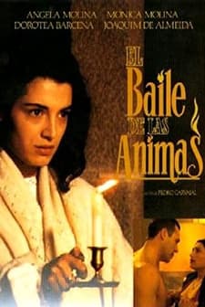 El Baile De Las ánimas (1994) afişi