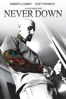 Never Down (2007) afişi