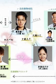 Doritoru Jûi (2010) afişi