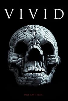 VIViD (2011) afişi