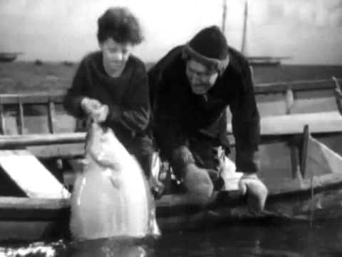 Captains Courageous Fotoğrafı