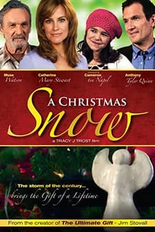 A Christmas Snow (2010) afişi