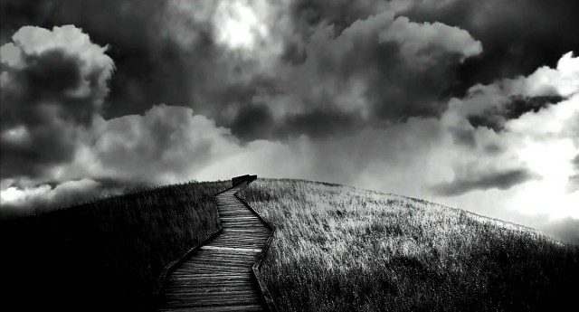 The Killer's Reprieve (2009) afişi