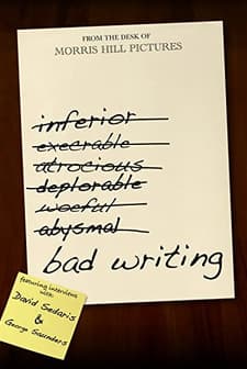 Bad Writing (2010) afişi