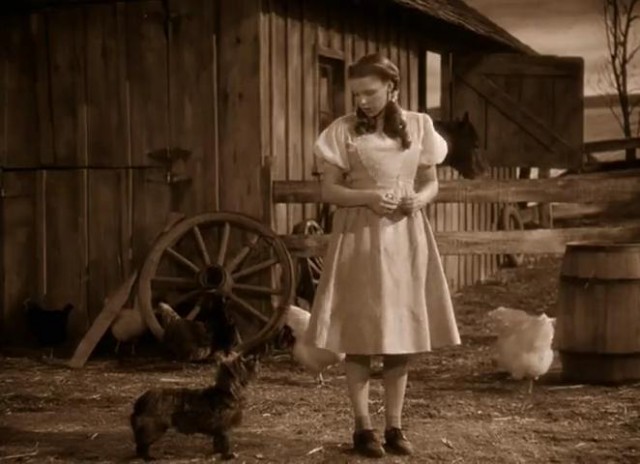 Oz Büyücüsü Fotoğrafı