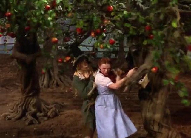 Oz Büyücüsü Fotoğrafı