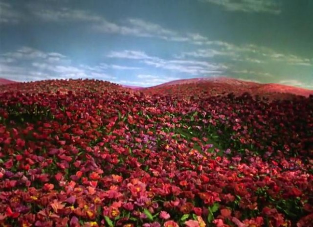 Oz Büyücüsü Fotoğrafı