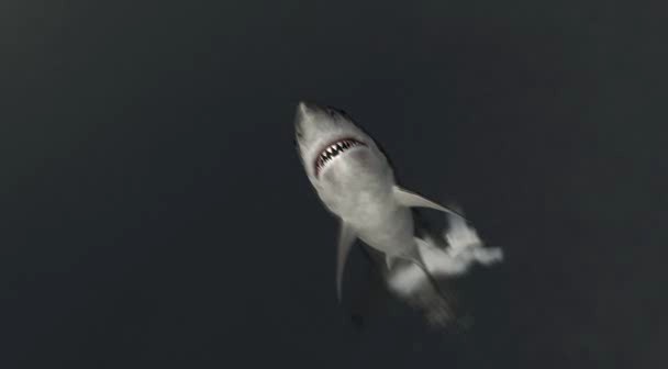 Mega Shark Vs Crocosaurus fotoğrafı