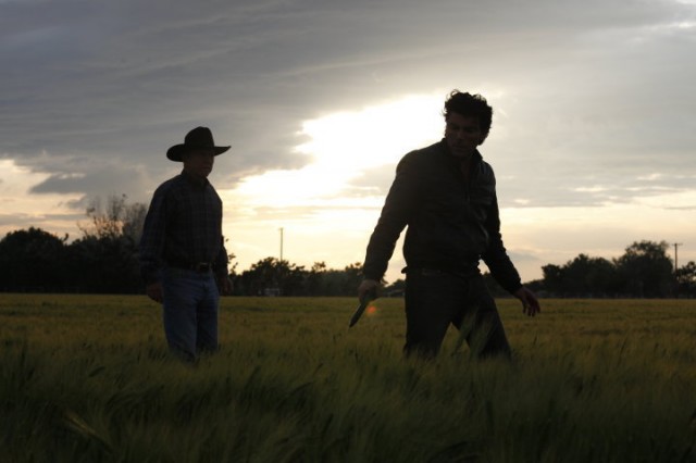 Joshua Tree fotoğrafı