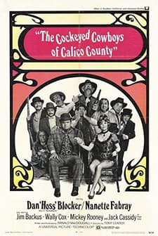 Cockeyed Cowboys Of Calico County (1970) afişi