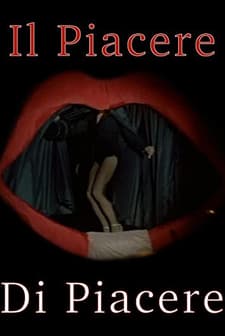 ıl Piacere Di Piacere (2002) afişi