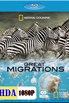 Büyük Göçler (2010) afişi