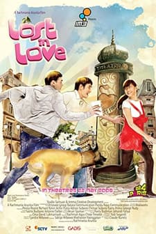Kayıp Aşk (2008) afişi