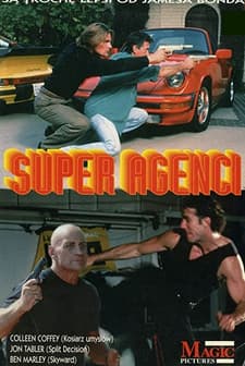 The Mosaic Project (1994) afişi