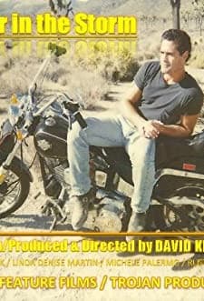 Shelter In The Storm (1987) afişi