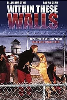 Within These Walls (2001) afişi