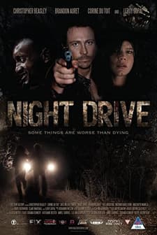 Night Drive (2010) afişi