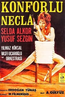 Konforlu Necla (1966) afişi