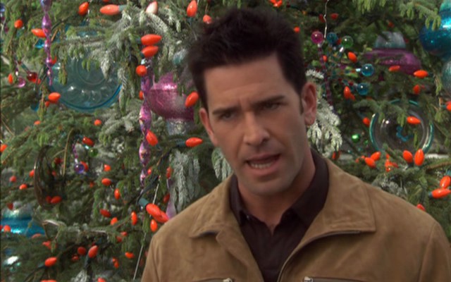 Ayışığı Ve ökseotu fotoğrafı