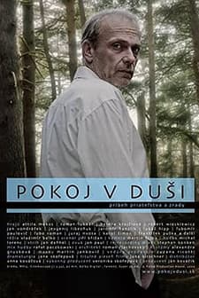 Pokoj V Dusi (2009) afişi