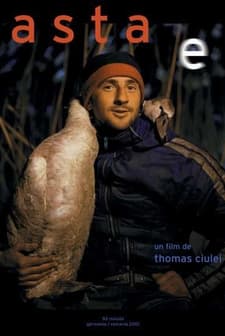 Asta E (2001) afişi