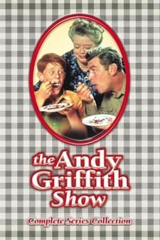 The Andy Griffith Show (1960) afişi