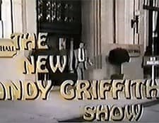 The New Andy Griffith Show (1971) afişi