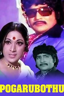 Pogaru Botu (1976) afişi