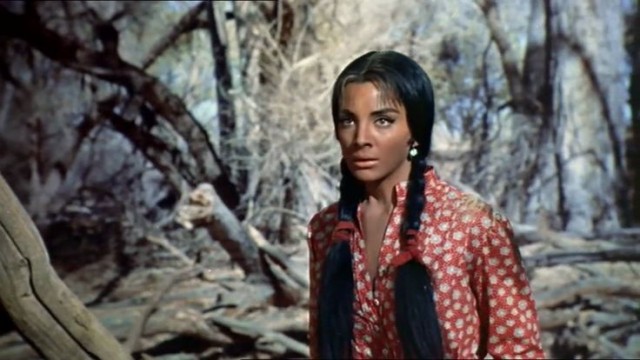 Gun HIll'den Son Tren Fotoğrafı