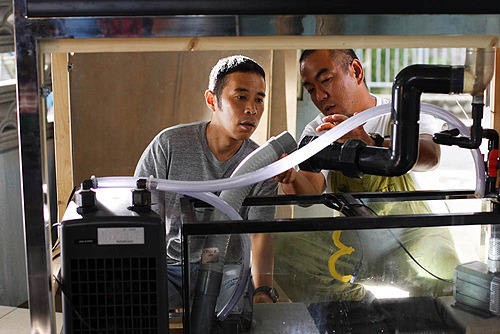 Teidakankan Fotoğrafı