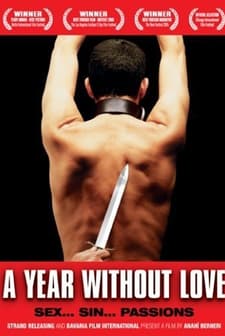 Un Año Sin Amor (2005) afişi