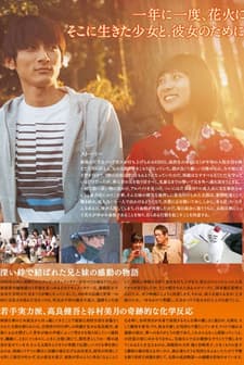 Fireworks From The Heart (2009) afişi