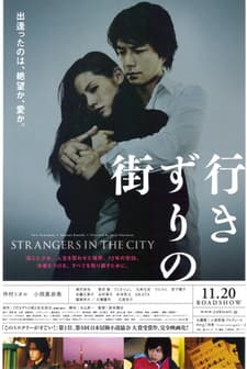 Strangers In The City (2010) afişi