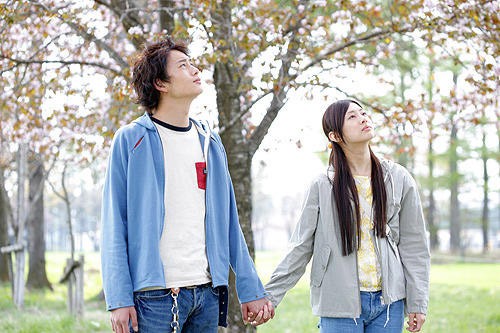 Bir Işıltı Fotoğrafı