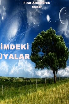 Içimdeki Rüyalar (2011) afişi