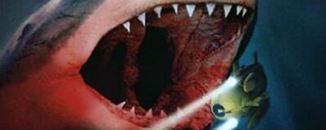 Shark Attack Fotoğrafı